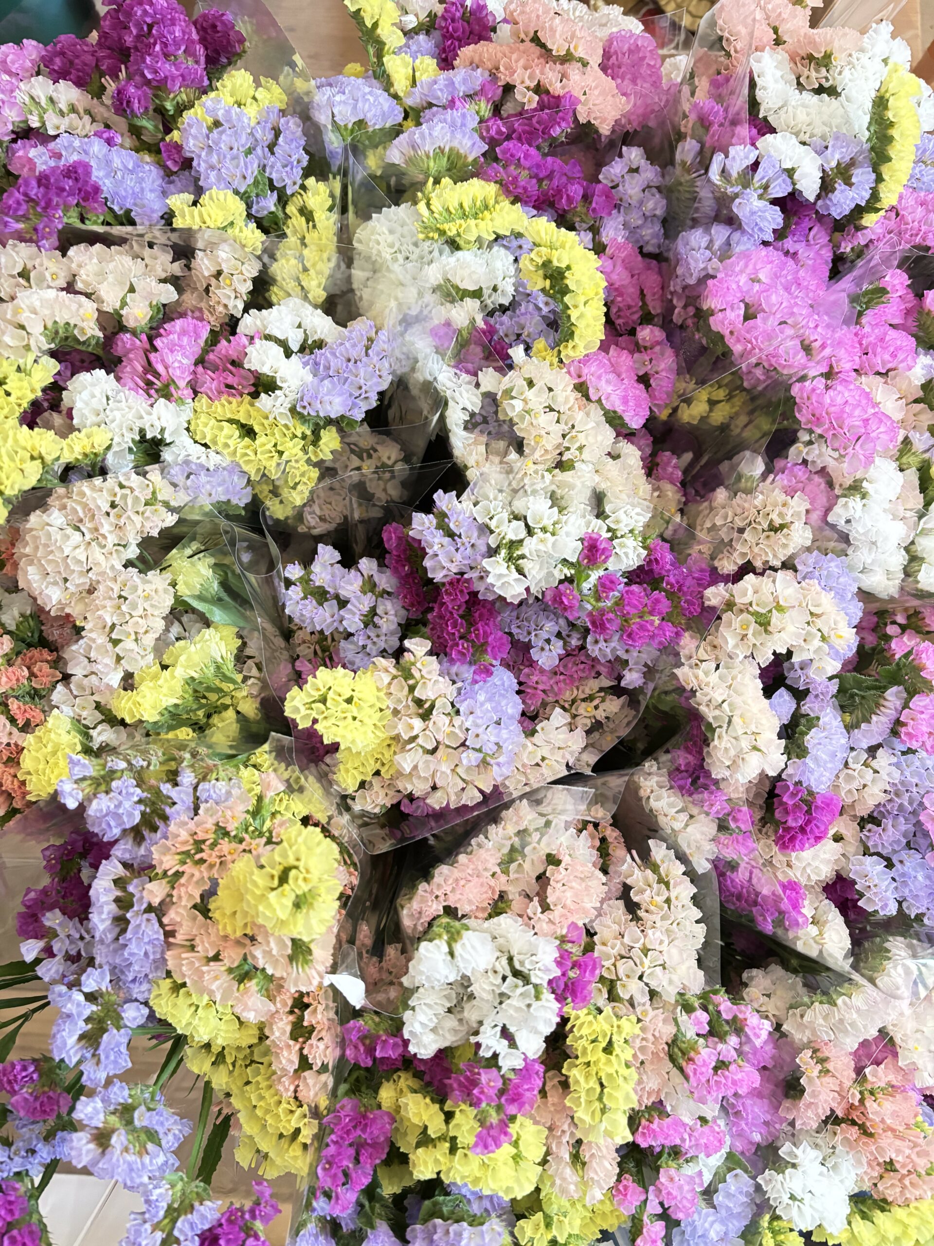 comprarsiemprevivaonline