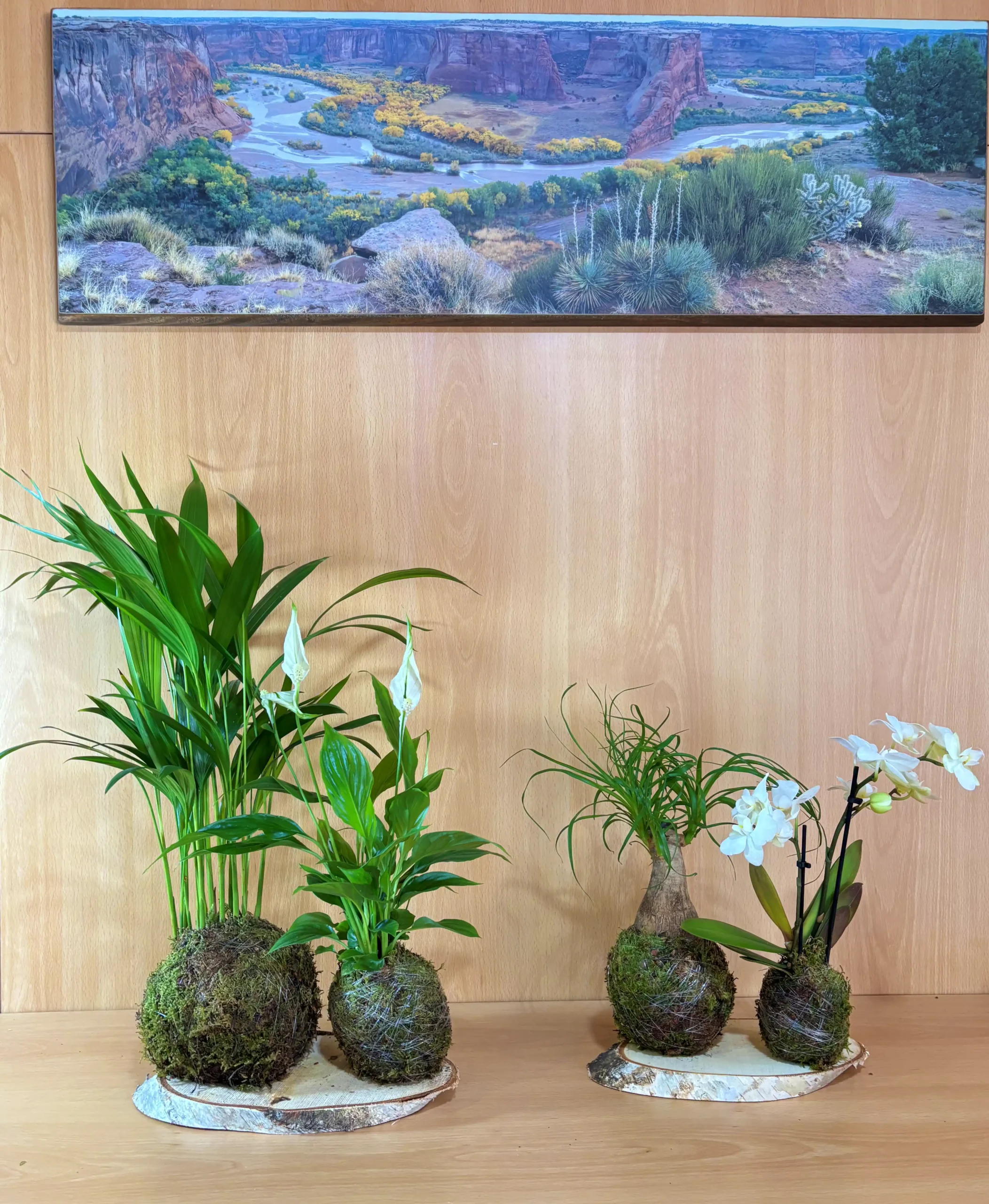 Pack Purificador Luxe