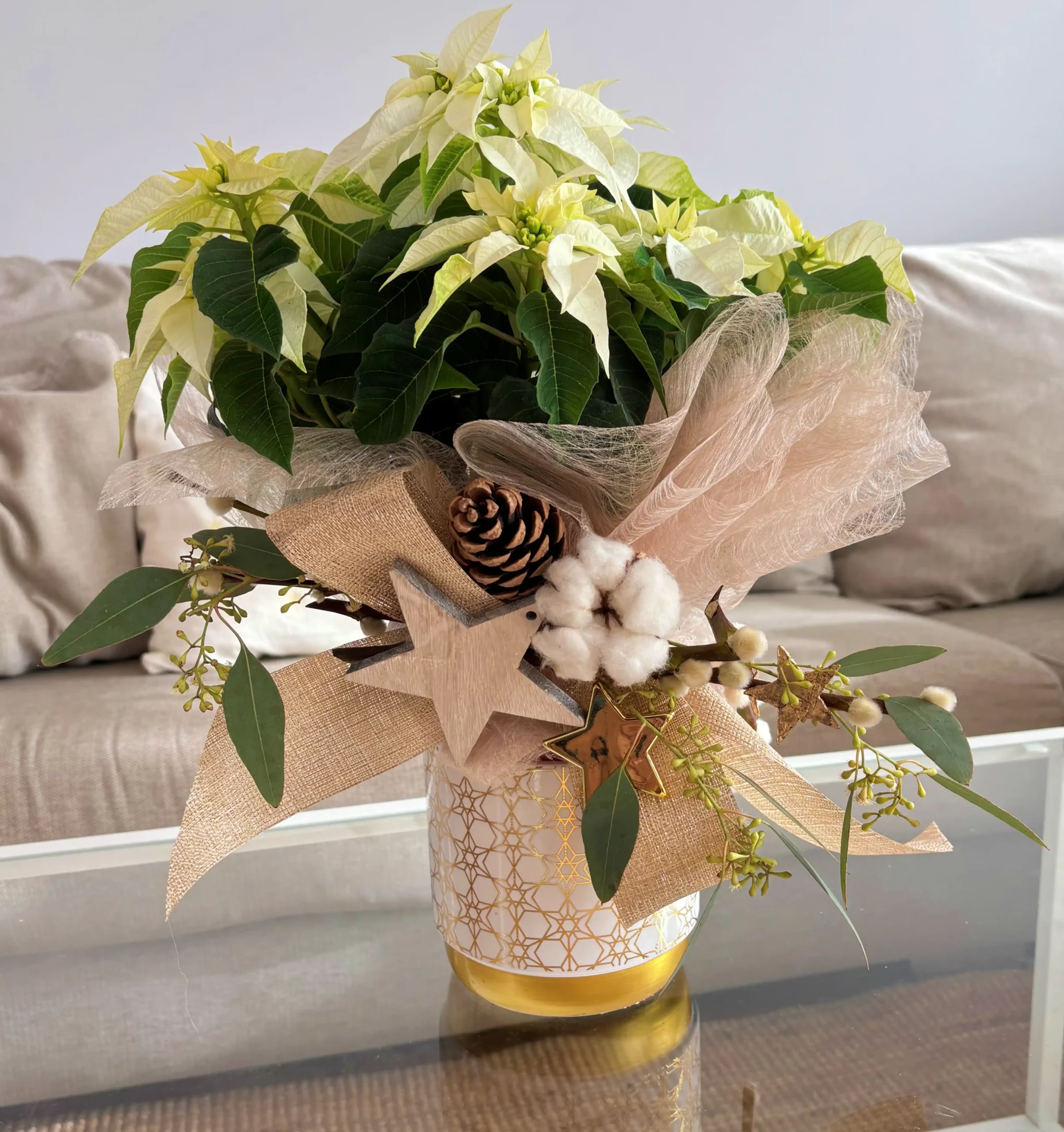 Poinsettia Blanca Copo de Nieve