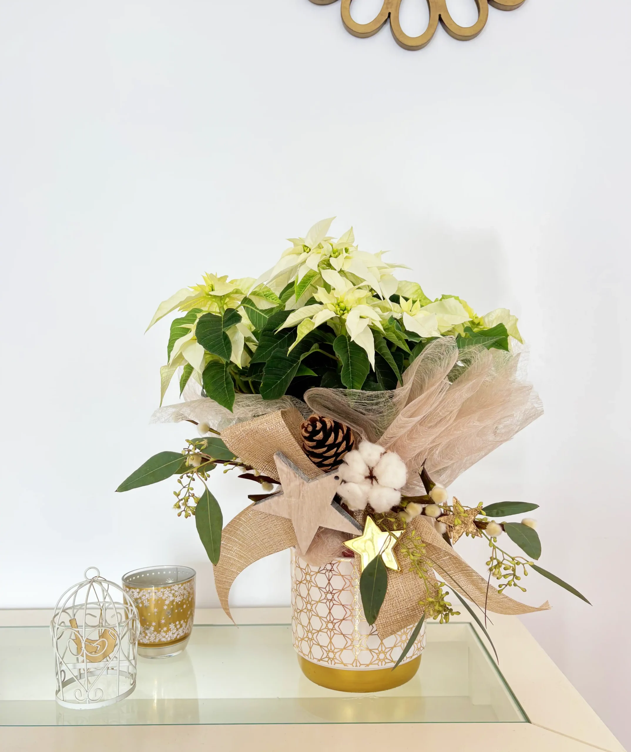 Poinsettia Blanca Copo de Nieve