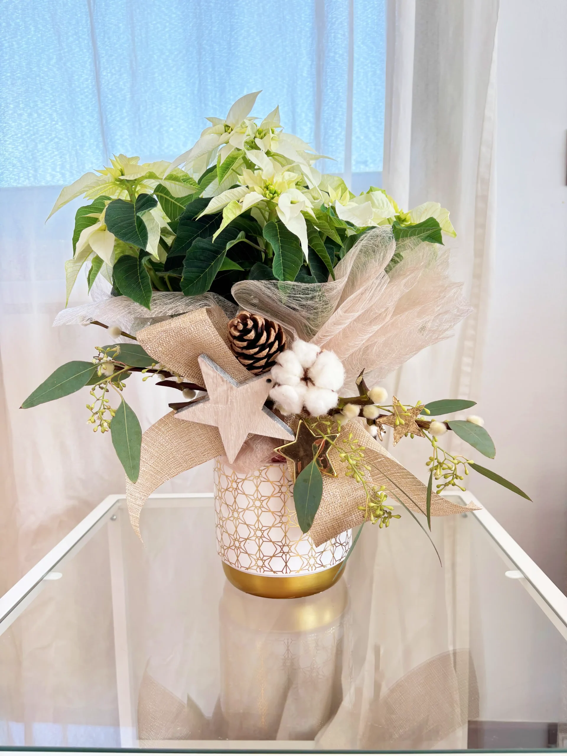 Poinsettia Blanca Copo de Nieve