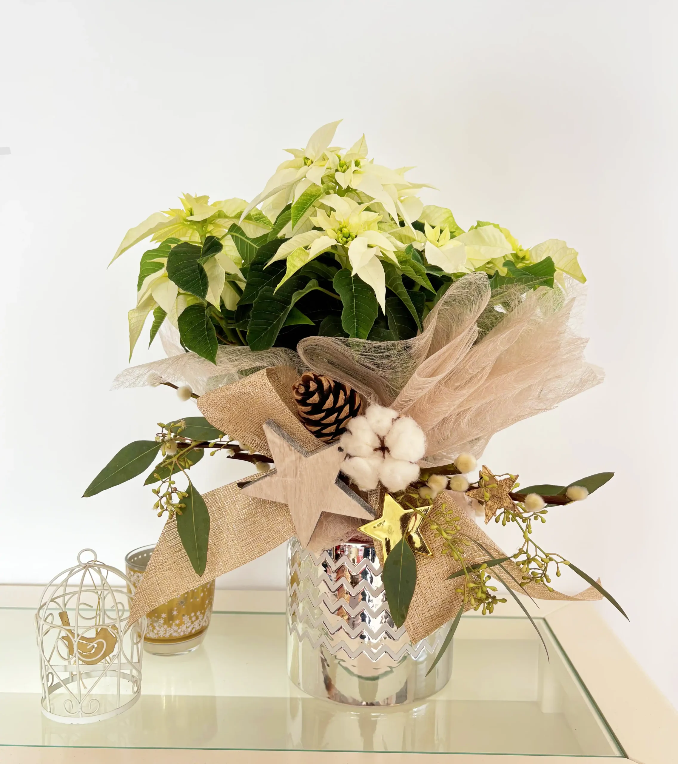 Poinsettia Blanca silver