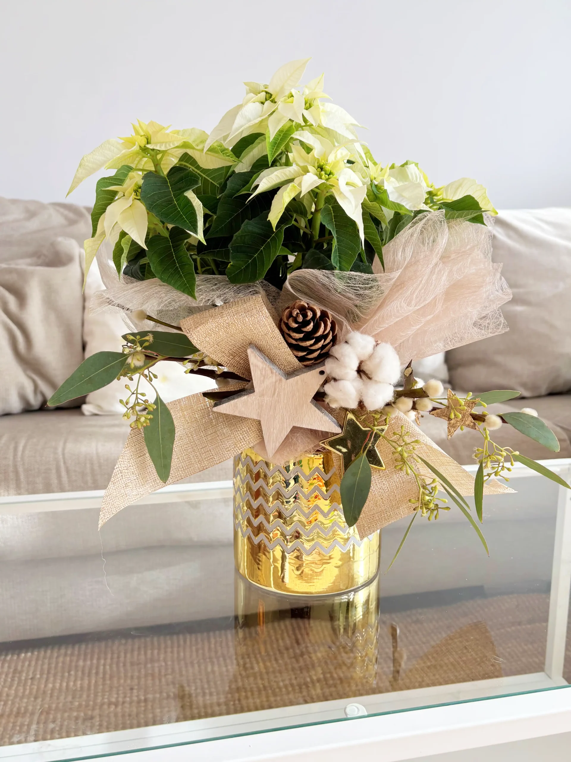 Poinsettia Blanca Gold