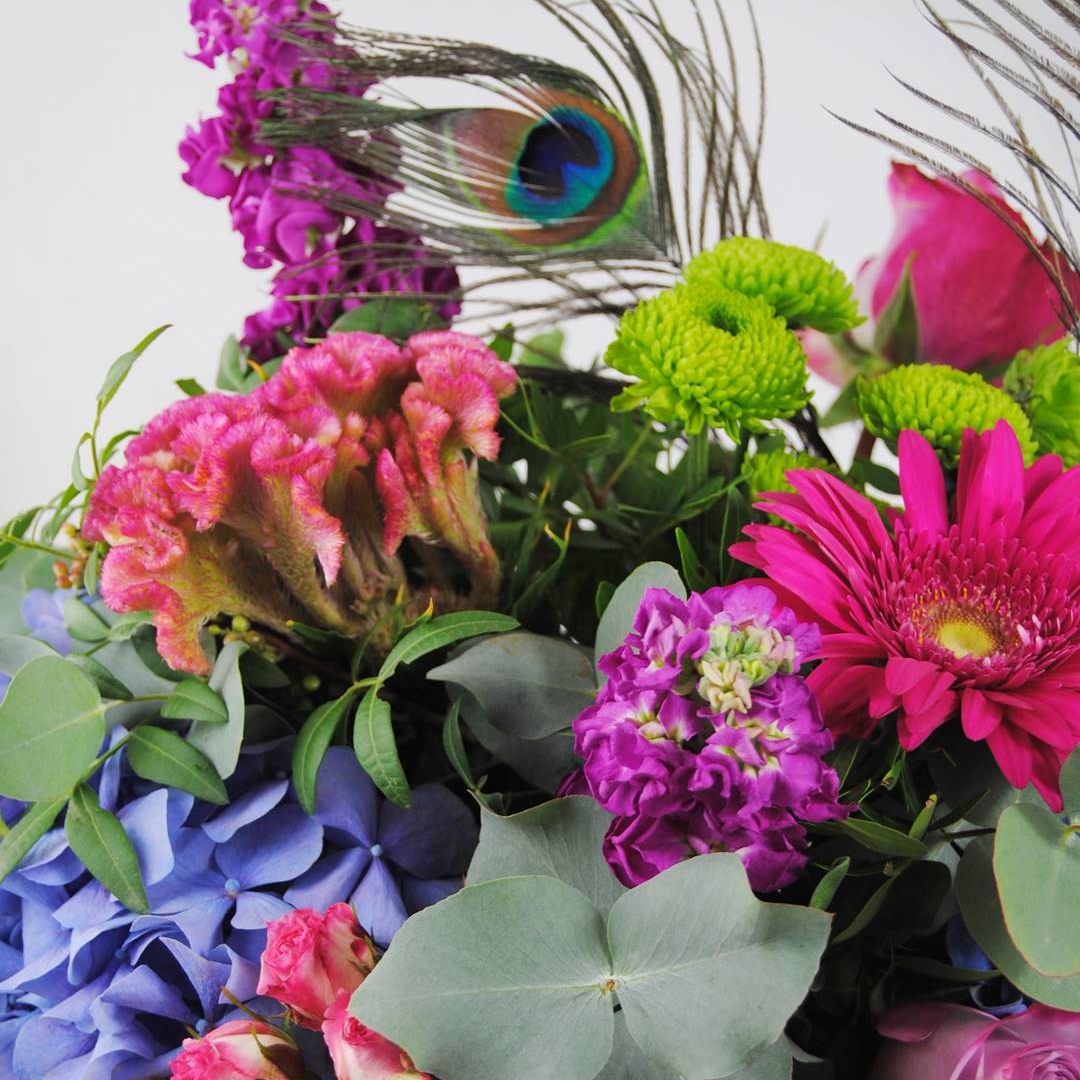 flores hortensias azules, celosia, flores de rosa pitimini, aleli, flores de baloon verde, gerbera fucsia, rosa lilia, plumas de pavo real - originalflor