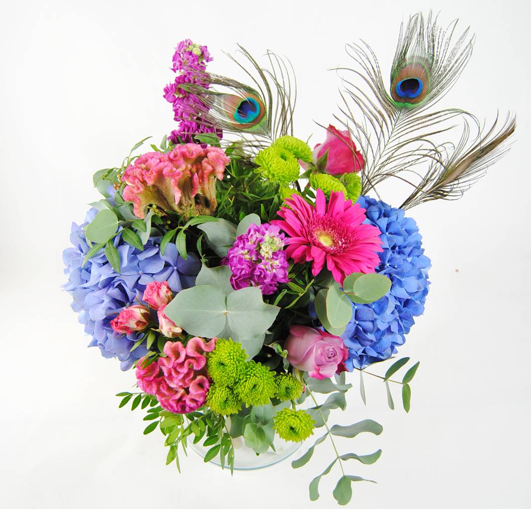 flores para regalar a domicilio hortensias azules, celosia, flores de rosa pitimini, aleli, flores de baloon verde, gerbera fucsia, rosa lilia, plumas de pavo real - originalflor