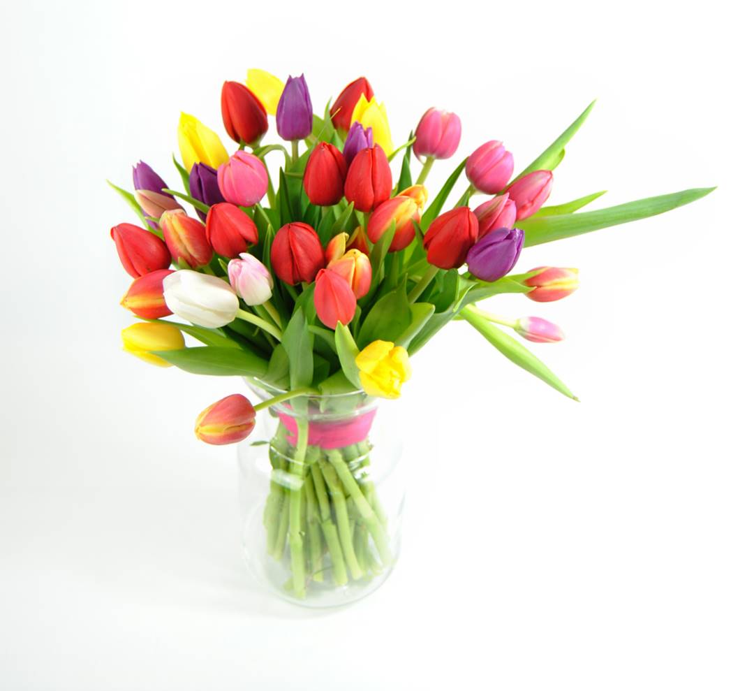 ramo de tulipanes frescos