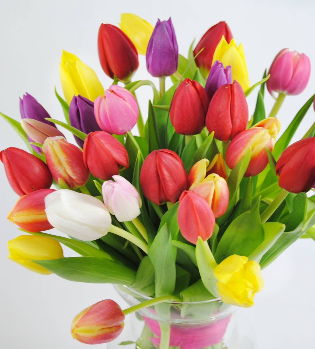 ramo de tulipanes - originalflor.es