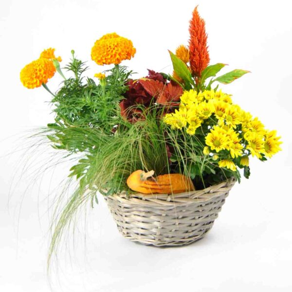 Cesta Otoñal con Calabaza