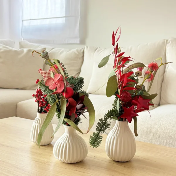 Comprar plantas de decoración de Navidad online