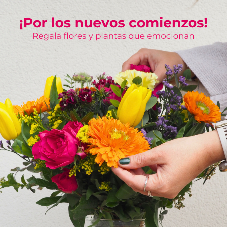 Envio de ramos de flores y plantes a domicilio - Original Flor
