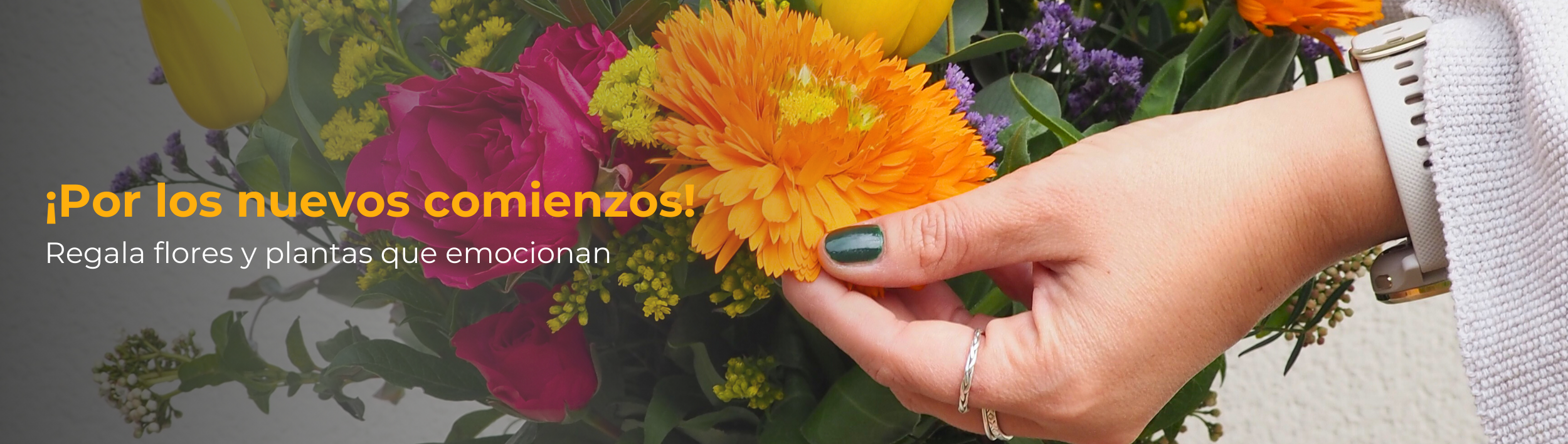 Envio de ramos de flores y plantes a domicilio - Original Flor