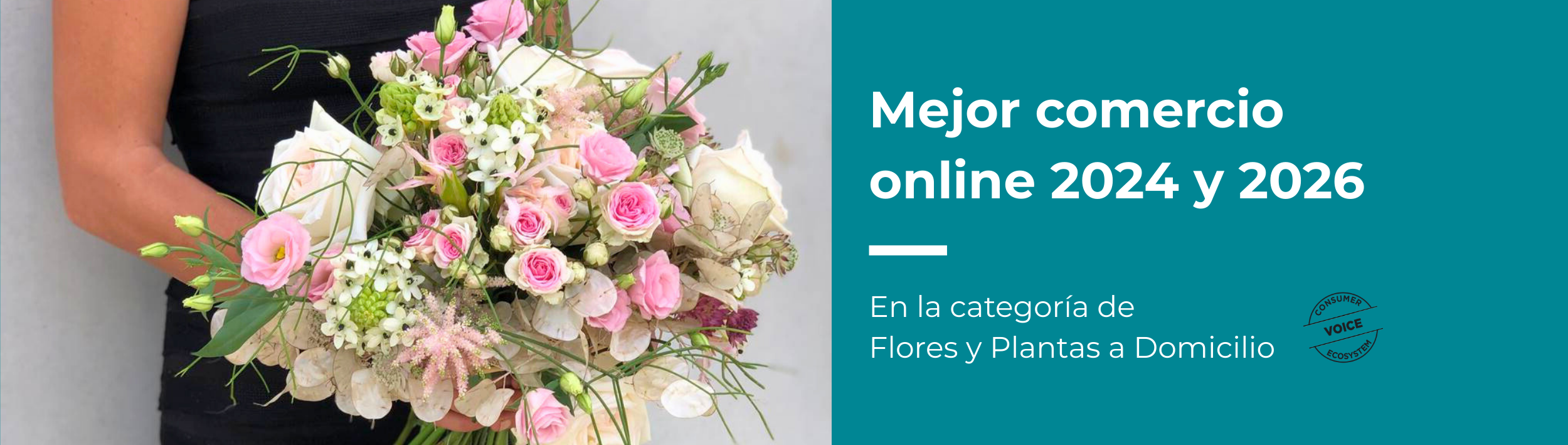 Mejor comercio online - envió de flores y plantas online