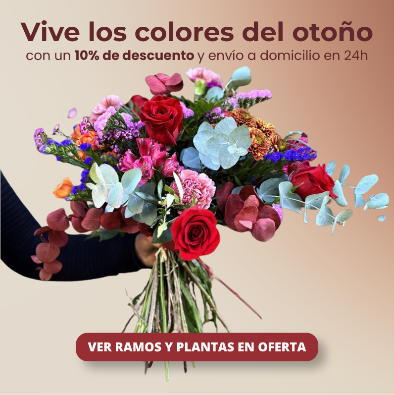 envío de ramos de flores a domicilio - Original Flor